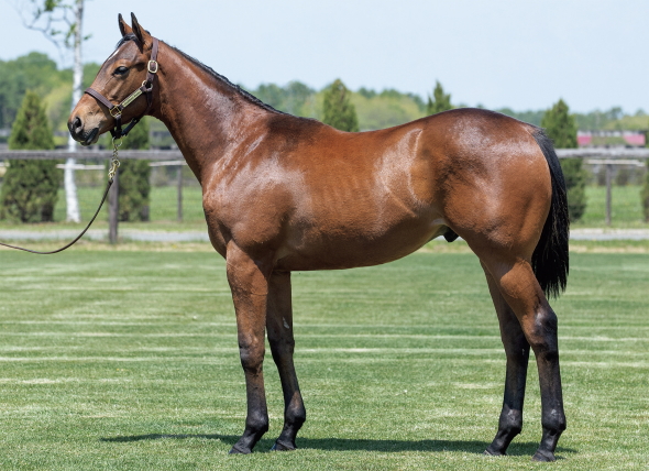 エンジェルフォールの17