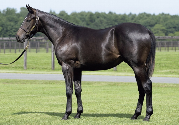 �A���F���`������17