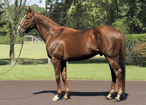 �_�C�����W���[