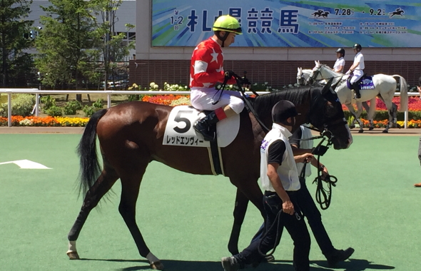 レッドエンヴィー新馬戦