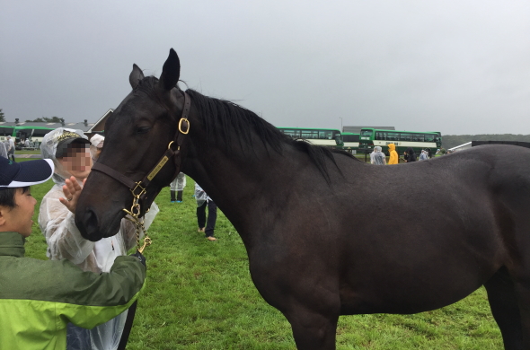 �f�B�A�f���}�h����17(�c�A�[��)