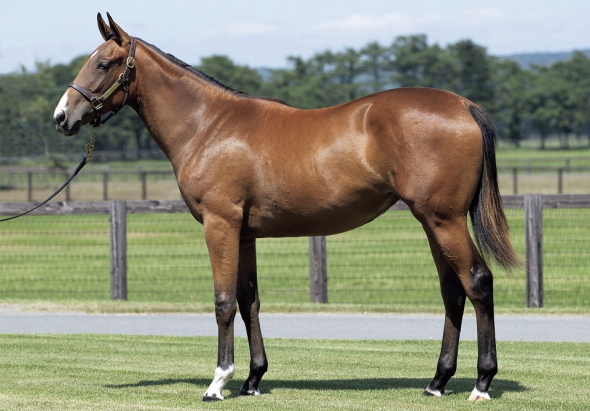 �f�B�����e�B�J�^��17