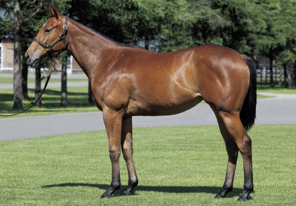 �G�N���[���A���W����17