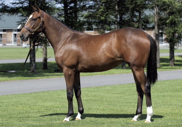 �A�����[����17