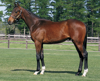 �G�����s�N�V�[��17