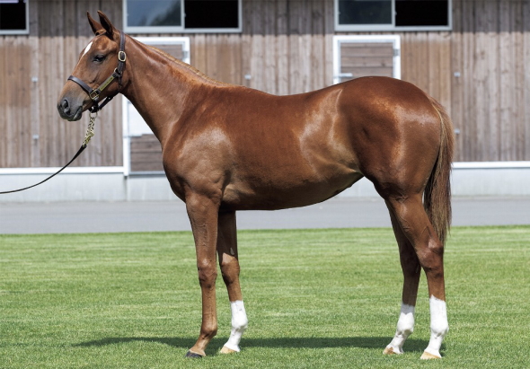 �t�F���~�I����17