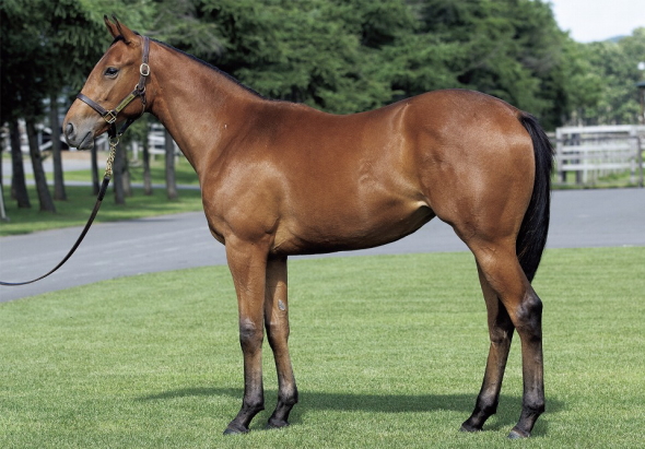 �t���A�N���t�g��17