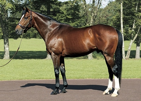 �n�[�r���W���[