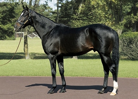 �n�[�c�N���C