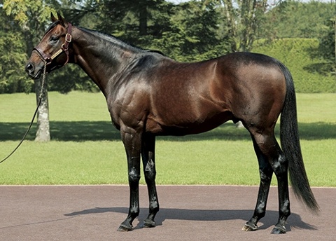 �L���O�J���n���n