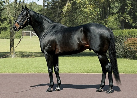 �L���V���T�m�L�Z�L