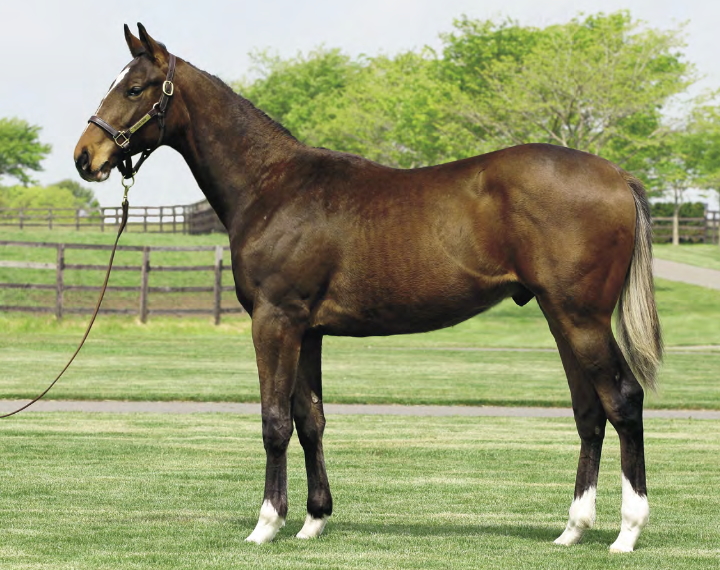 �R�R���`������17