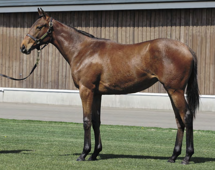 ラストグルーヴの17