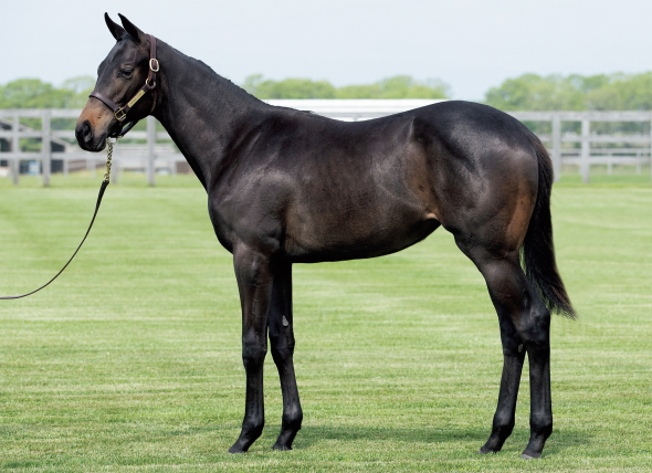 ���V���N��17