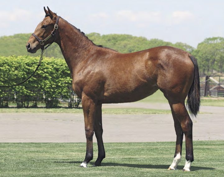 レジェンドトレイルの17