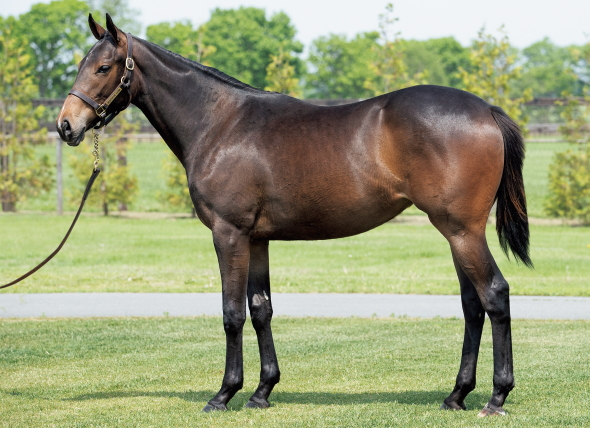 レスペランスの17