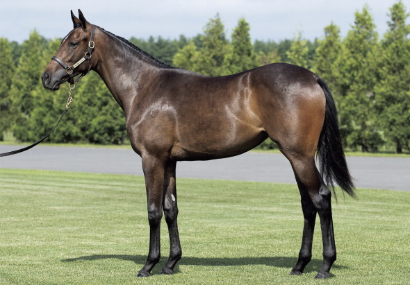 �����T�C�h��17