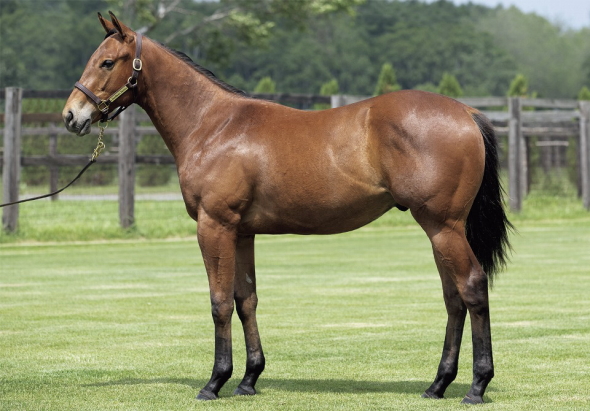 ���[�K���T�t�@�C�A��17