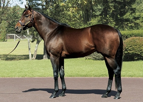 ���[�h�J�i���A