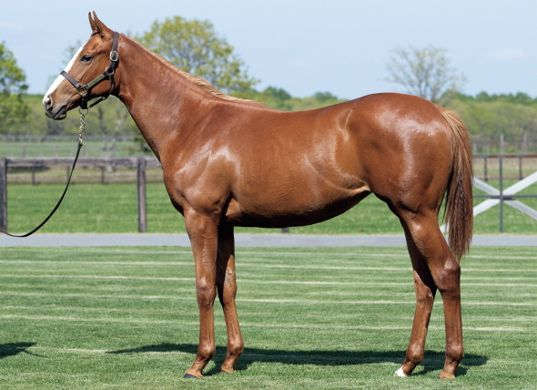 �}���r�A��17