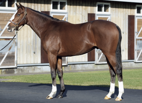 メジロルバートの17