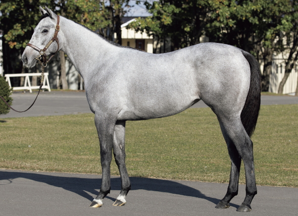 �~�I���`������17