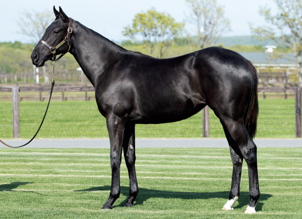 ミュージカルウェイの17