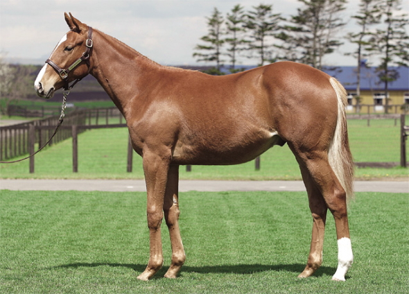 �I���t�F�[������W��