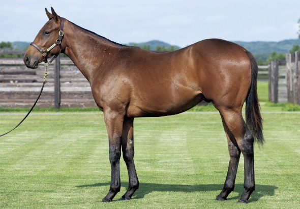 �y�������P�b�e��17