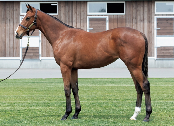 �s���~�}��17