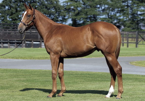 �L���[��17