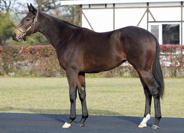 ���b�h���`�F���h��17