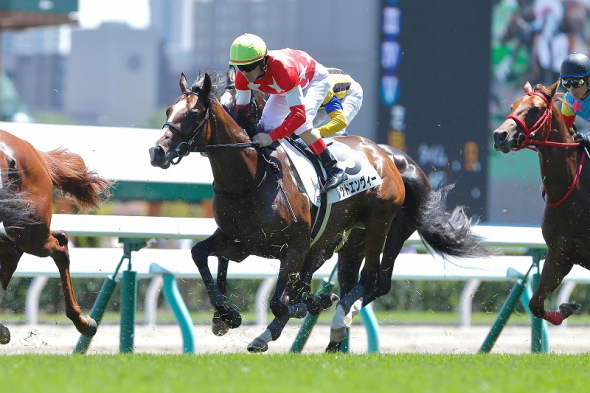 レッドエンヴィー