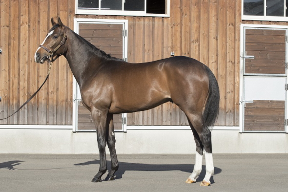 レッドエンヴィー(2018年5月1日)