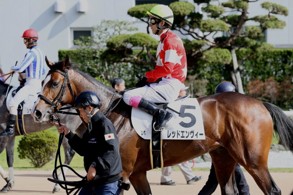 ���b�h�G�����B�[4���