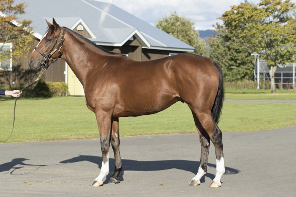 レッドムルガン