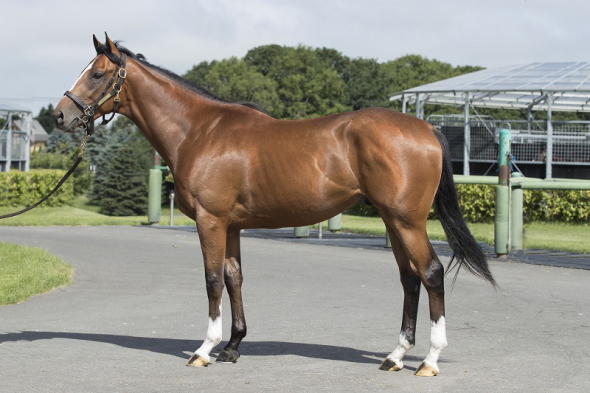 ���b�h�����K��(2018�N7��31��)