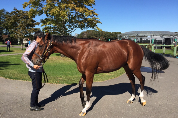 レッドムルガン