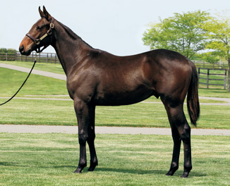 ���b�h�I�[���@����17