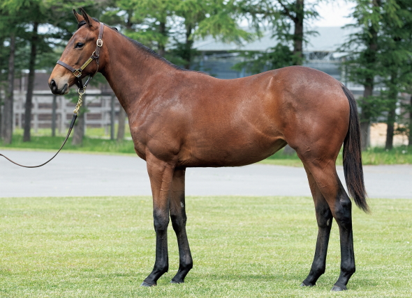 ローマンエンプレスの17