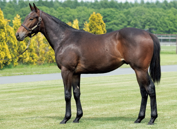 ロザリンドの17