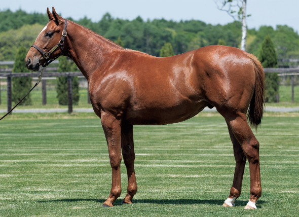 �T���~�i��17