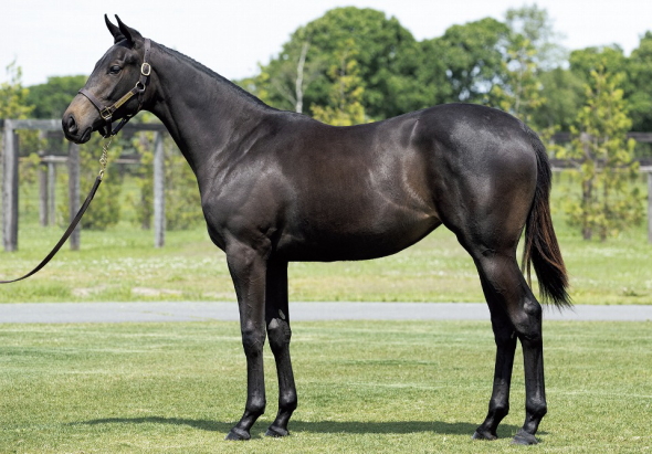 �V�[�Y���Y�x�X�g��17