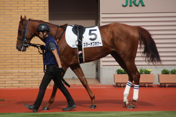 スターオブオナー