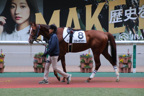 �X�^�[�I�u�I�i�[3���