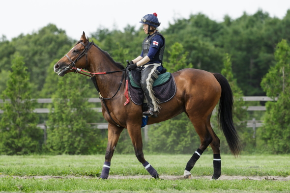 �X�C�[�g�Z���g(2018�N7��23��)